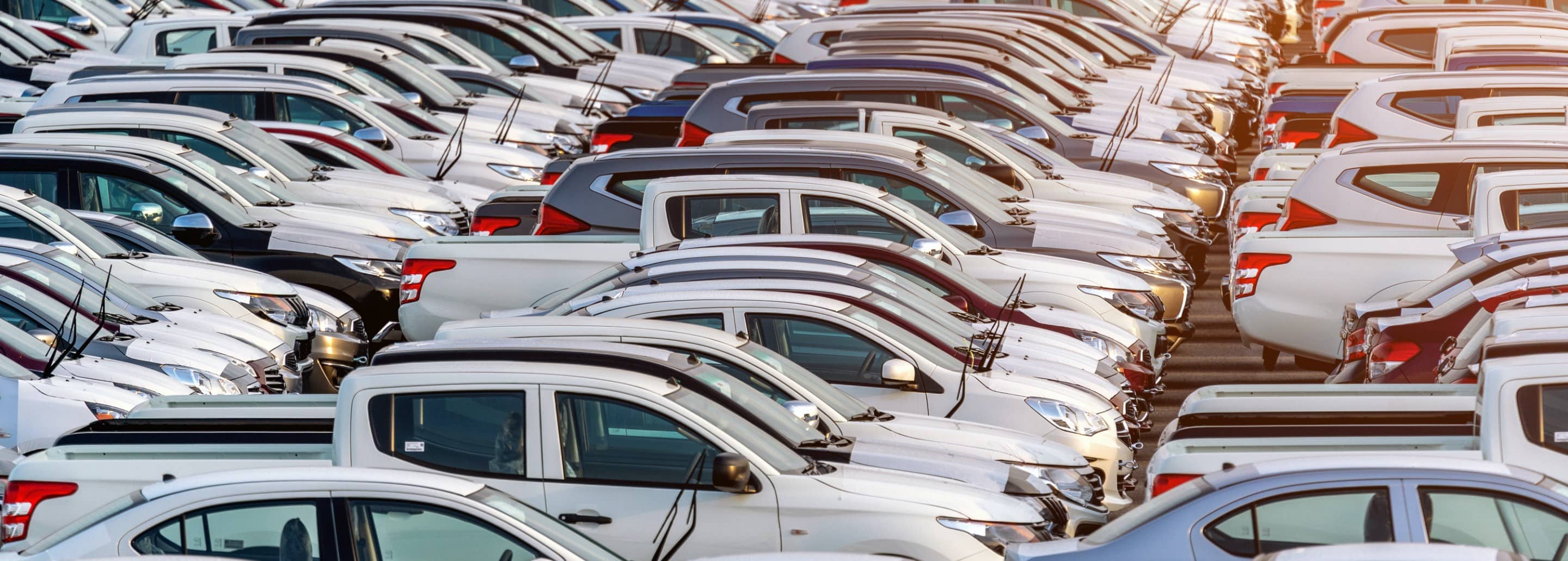 Car Shipping Containers for Sale & Rent MMPS